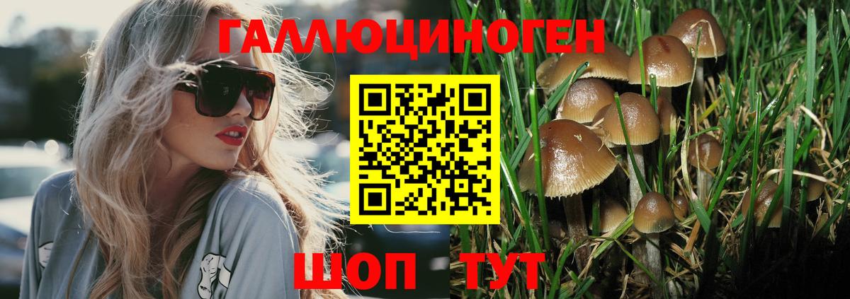 Галлюциногенные грибы MAGIC MUSHROOMS  Вход с VPN  Юрга  Псилоцибиновые грибы прущие грибы 