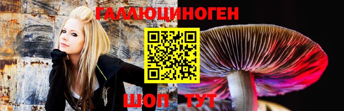 Галлюциногенные грибы Magic Shrooms Юрга